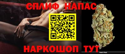 mdpv Усть-Джегута