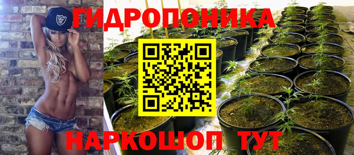 Бошки Шишки сатива  Конопля LSD WEED  Вход с VPN  Благодарный  МАРИХУАНА конопля  Бошки Шишки Amnesia 
